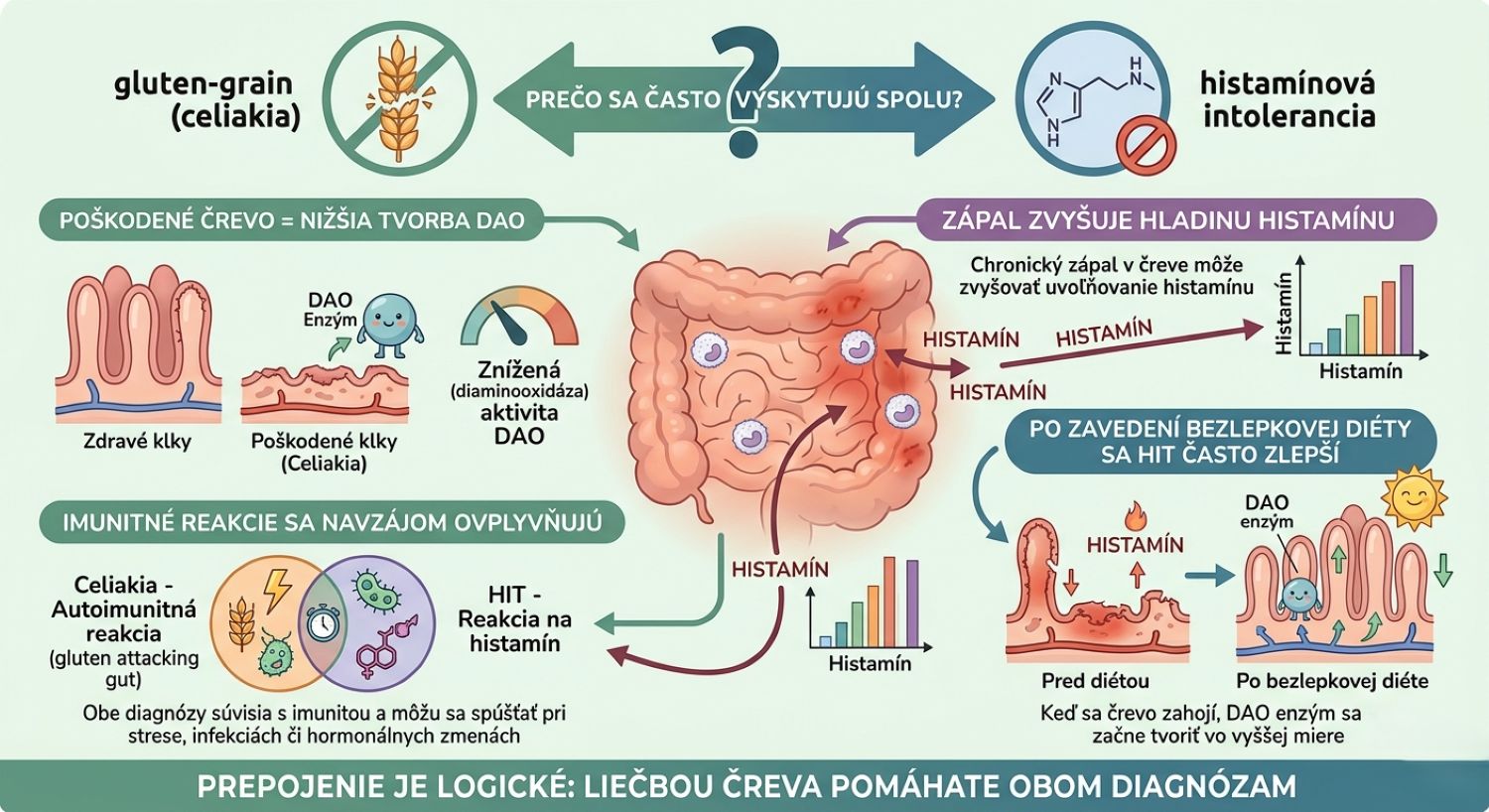 Infografika - Ako spolu suvisia celiakia, DAO a HIT